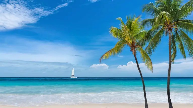 Best Beaches in West Palm Beach