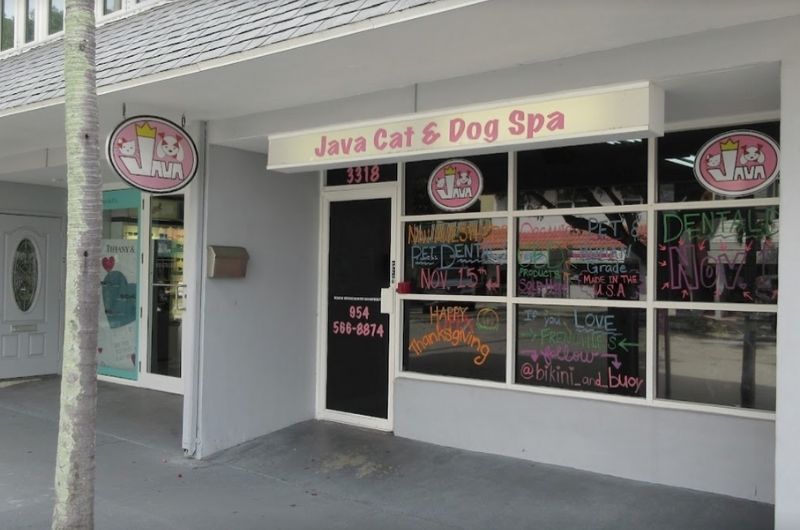 Java Cat and Dog Spa